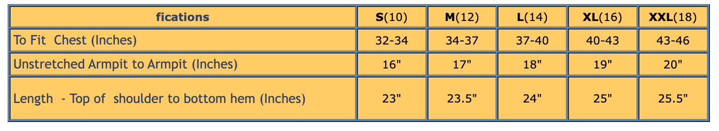 Hanes Ladies V-Neck T-Shirt