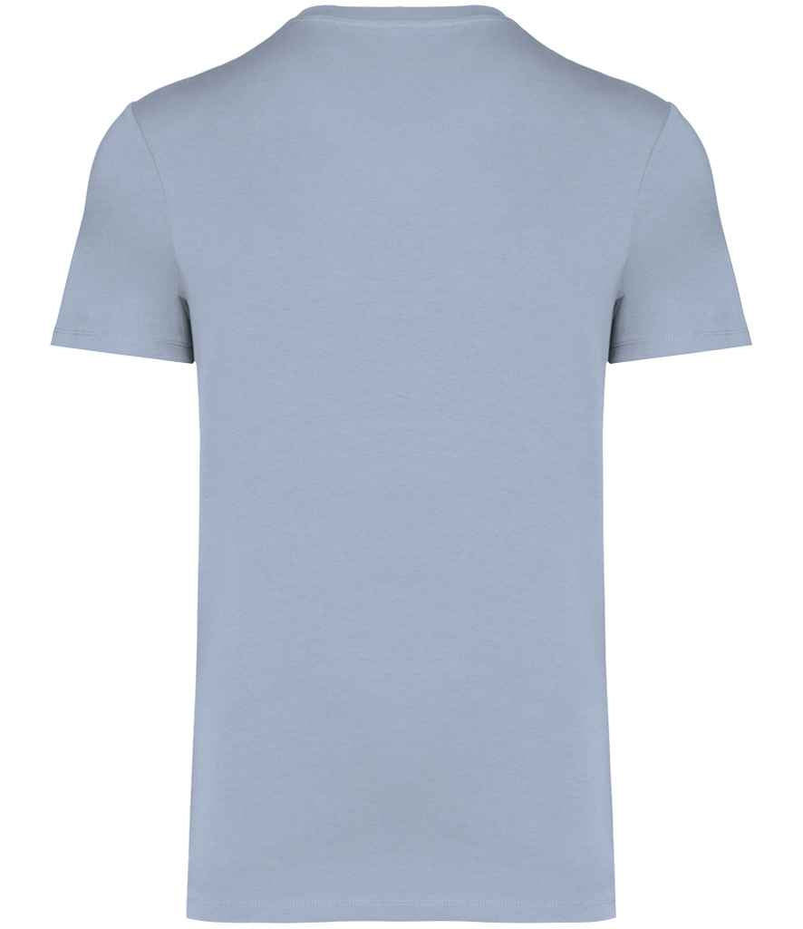 NS305 Aquamarine Back
