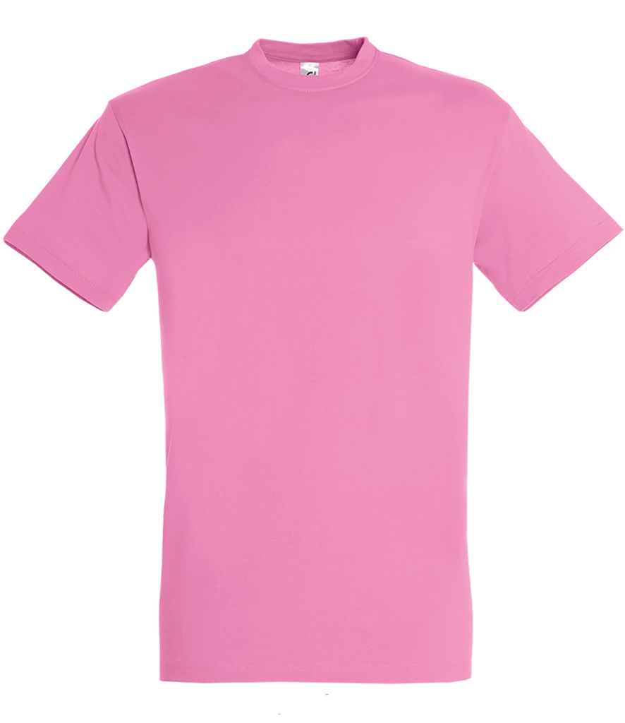 SOL'S Regent Summer Weight Cotton T-Shirt S-5XL