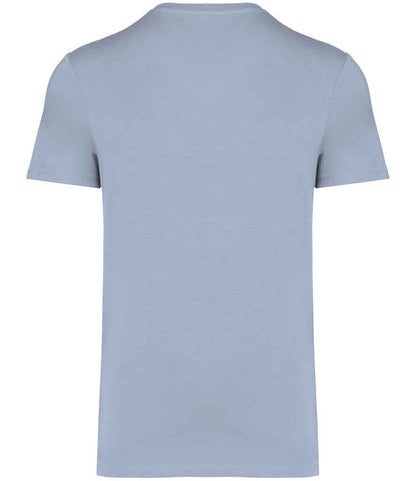 NS305 Aquamarine Back