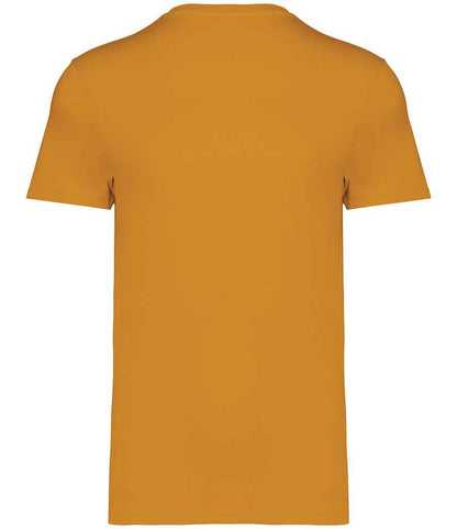 NS305 Curcuma Back