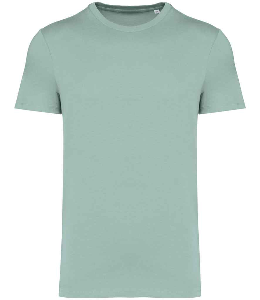 Native Spirit Unisex Heavyweight T-Shirt  [Sizes 4XL-5XL]